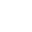AI Development